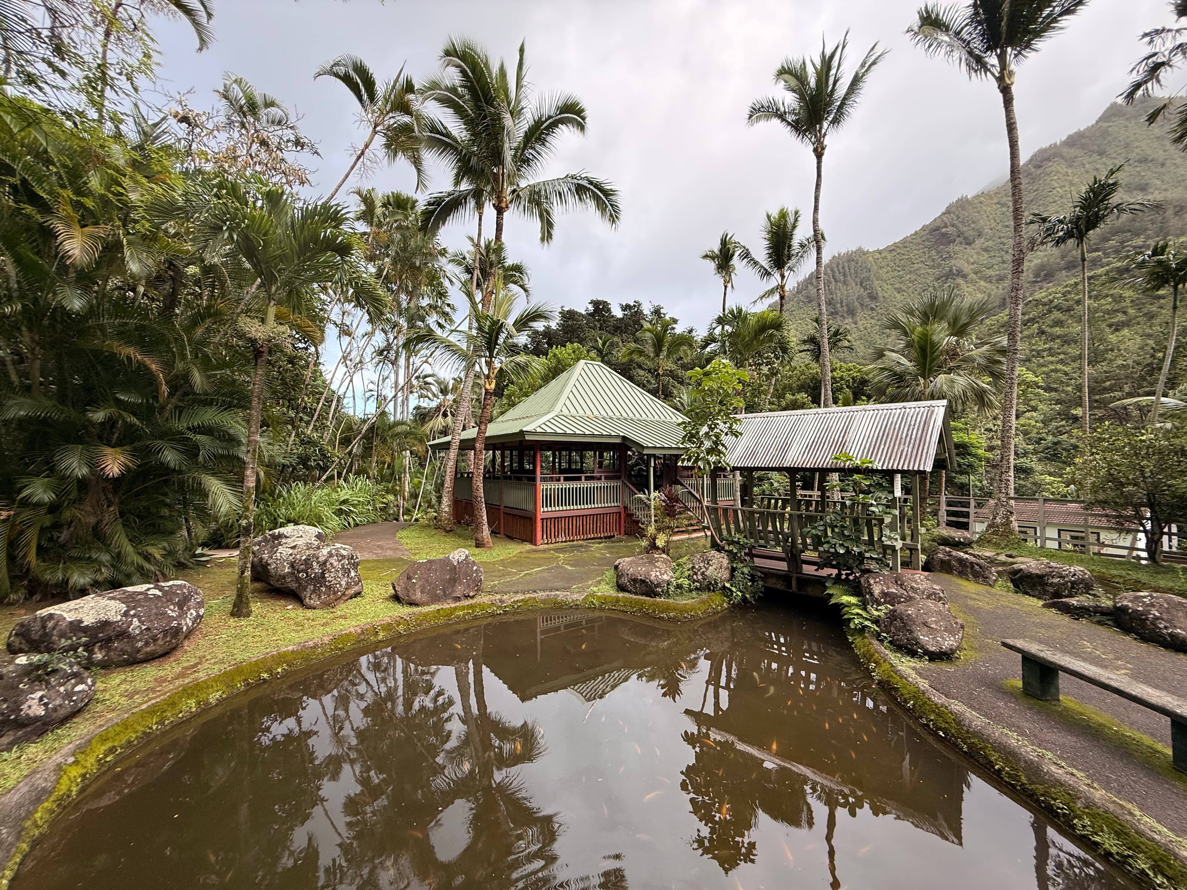 Bahay kubo reflected in the garden pond with palms and mountain beyond