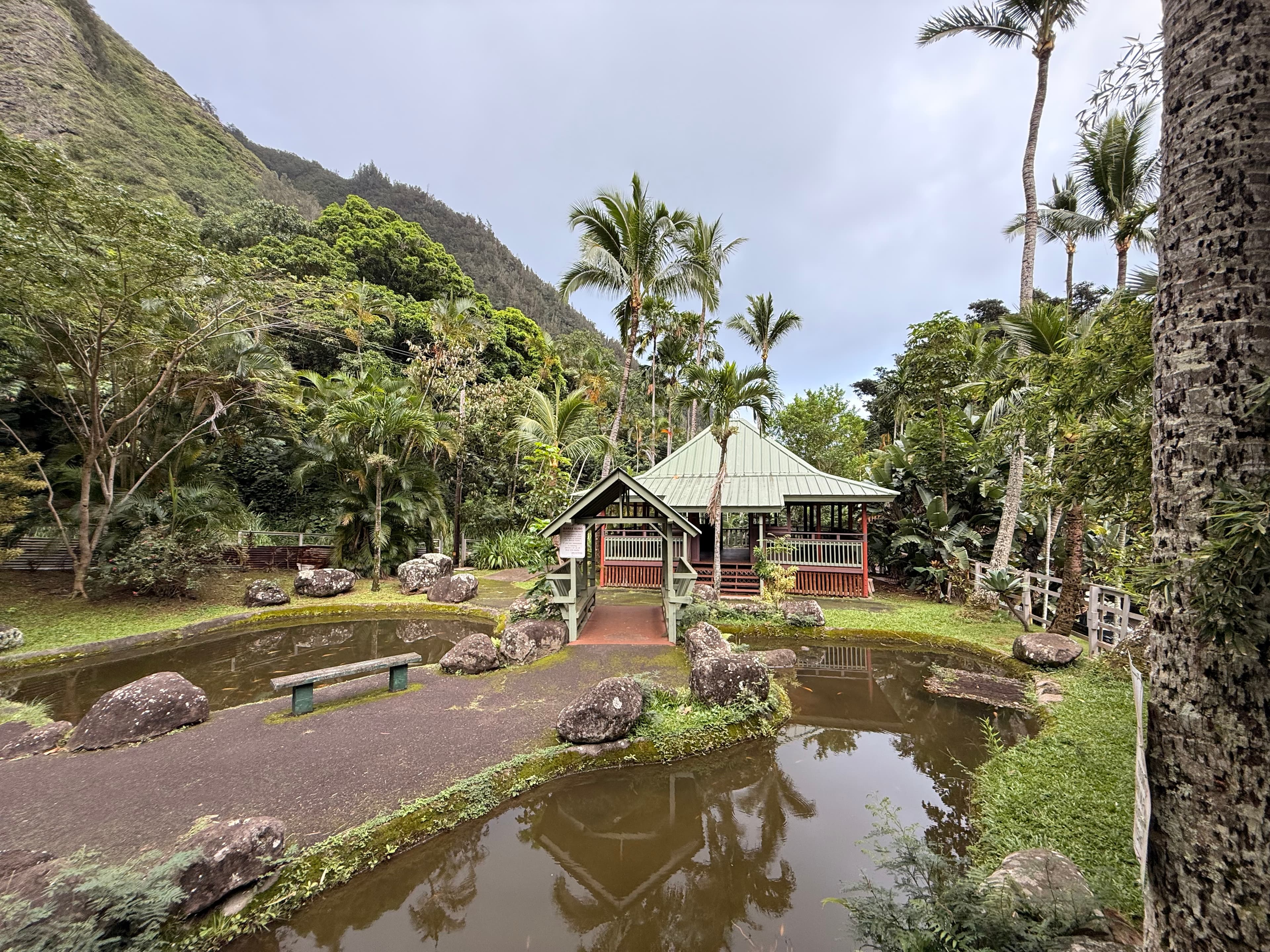 Wide view of the bahay kubo beside the pond, palms, and ʻĪao Valley hillside