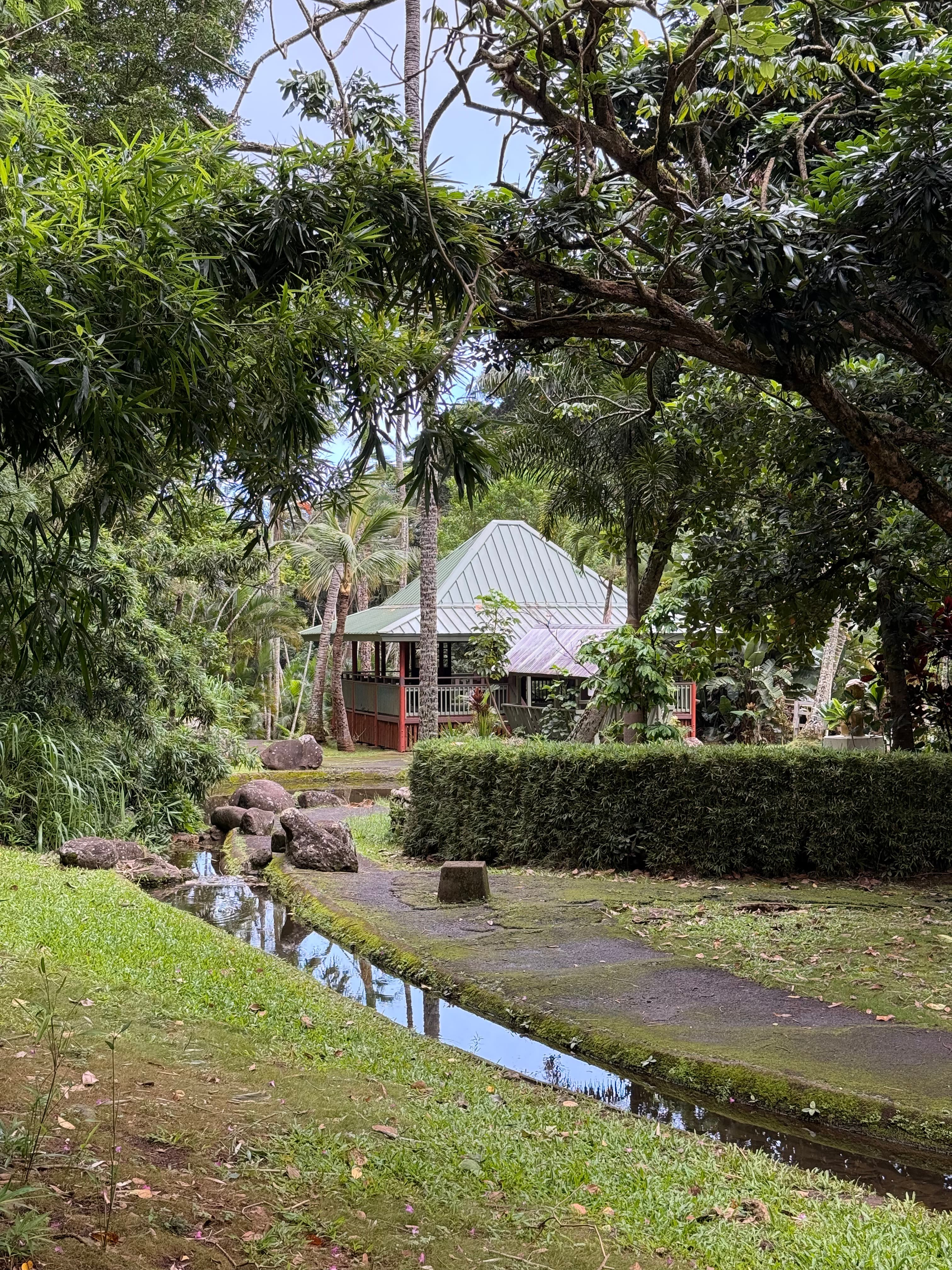 Bahay kubo seen through tropical gardens beside a quiet water channel
