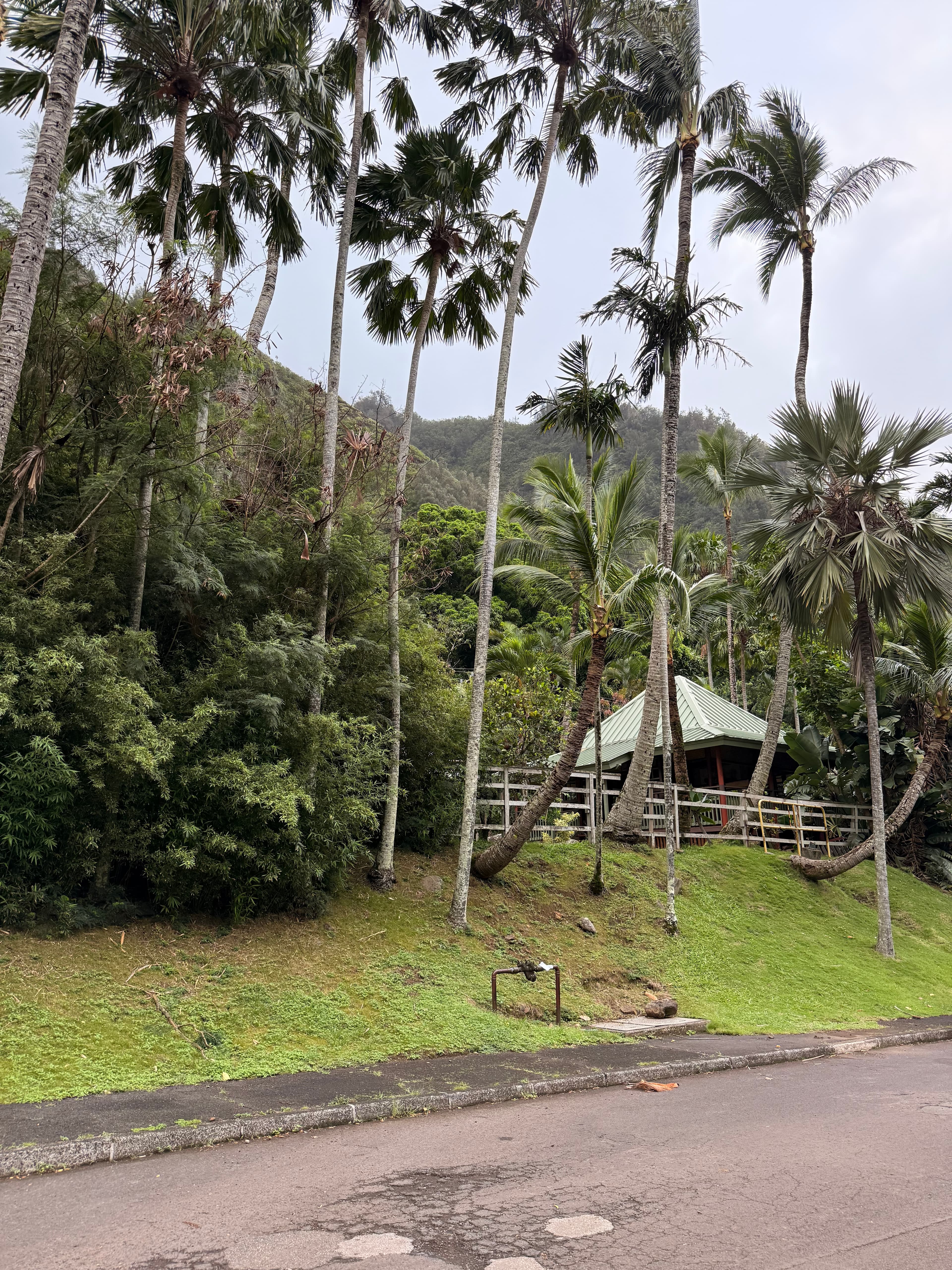 View of Kepaniwai Heritage Gardens from the roadside along ʻĪao Valley Road